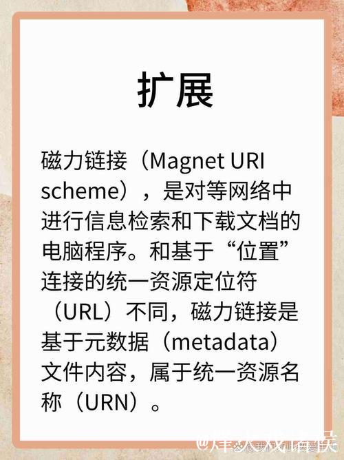 全面解析迅雷磁力链接搜索技巧 全面解析迅雷磁力链接搜索技巧