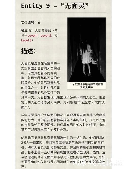 黑料网社区背后的隐秘故事解析